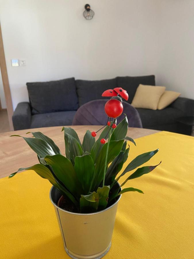 New Apartments Teravila Rateče Екстериор снимка